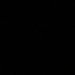 Meet your Posher, Steve